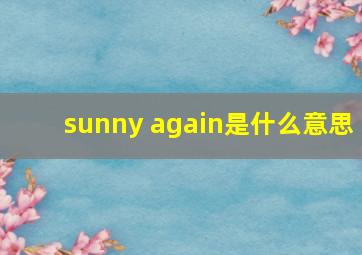 sunny again是什么意思